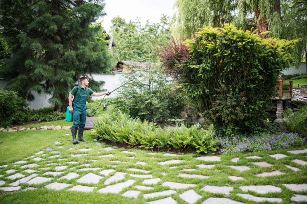 Best Mosquito Control Services  in Cherry Grove, OH