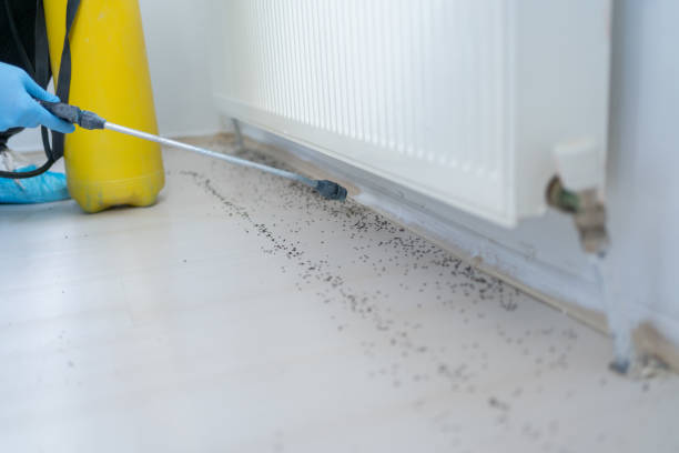 Best Pest Prevention Services  in Cherry Grove, OH