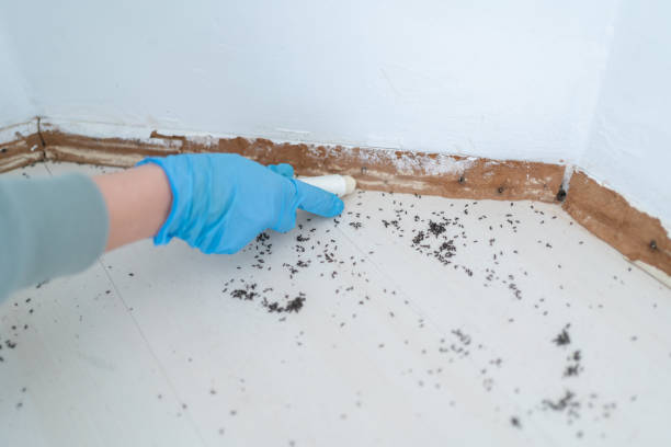 Pest Prevention Services in Cherry Grove, OH